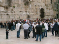 Learning trips to Israel